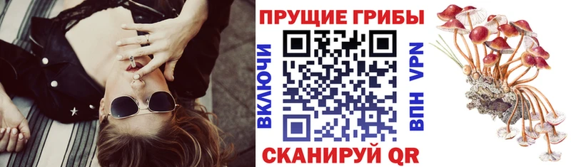 Галлюциногенные грибы мицелий  Купить закладки  Карталы 
